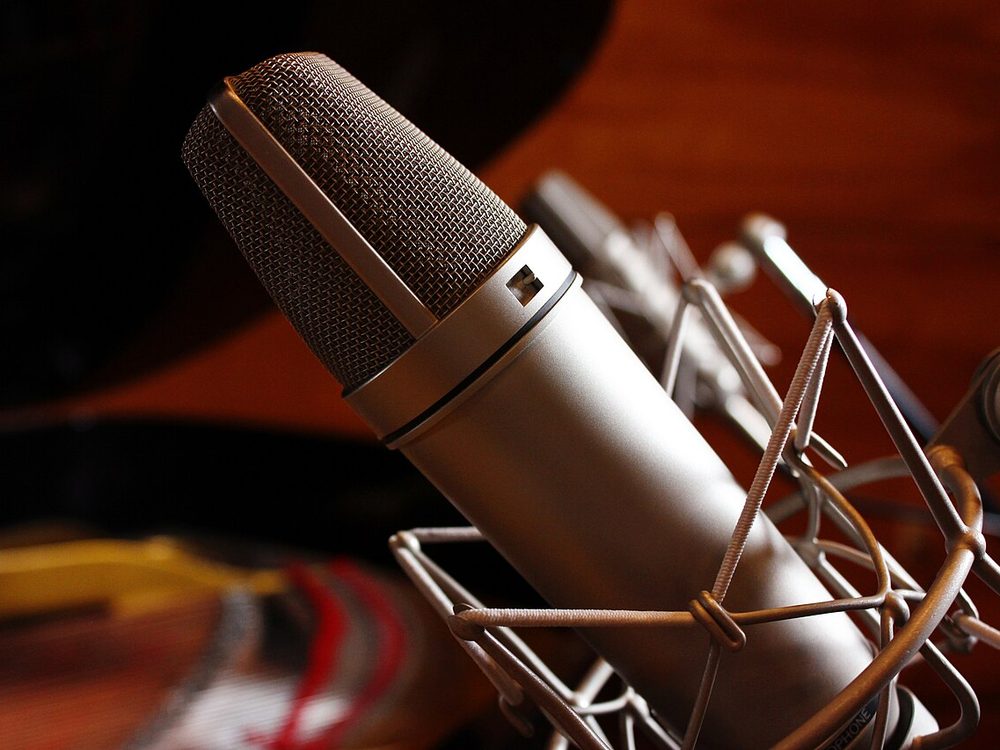 Neumann U87 condenser microphone in a shock mount